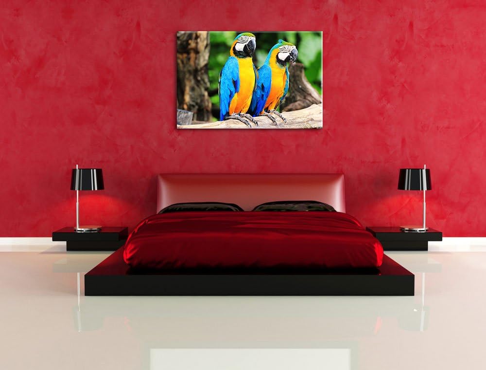 Zwei Papageien, Format: 100x70 auf Leinwand, XXL riesige Bilder fertig gerahmt mit Keilrahmen, Kunst