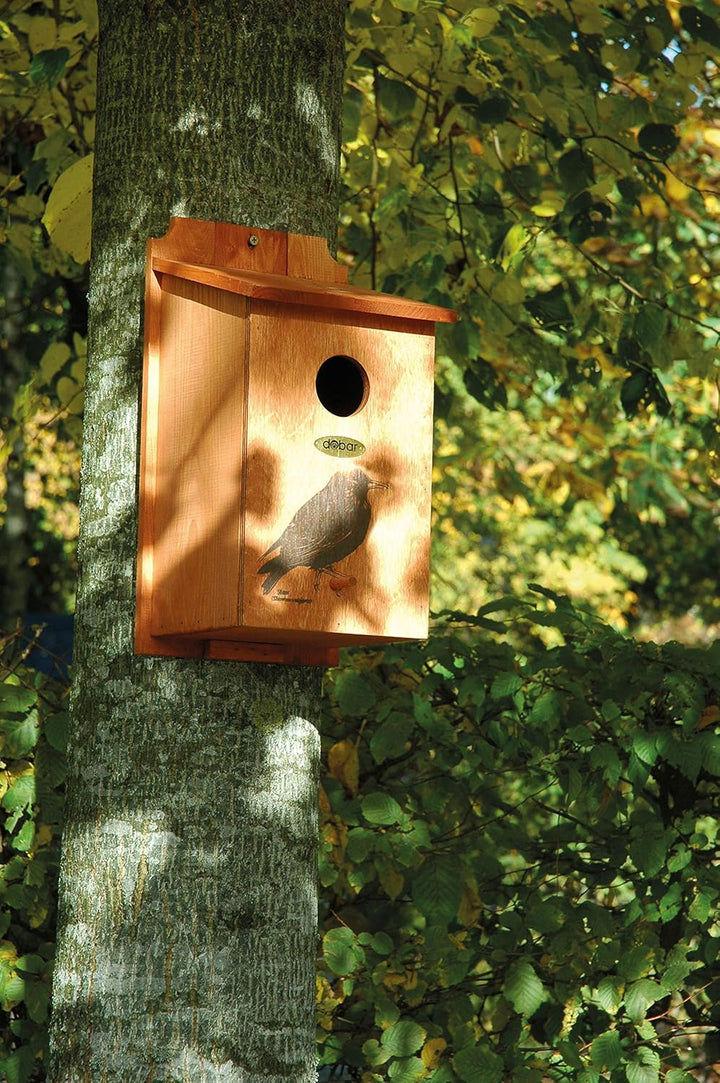 dobar® green label 22362FSCe Nistkasten "Star" - Starenkasten aus Holz - Nisthilfe für Wildvögel - W