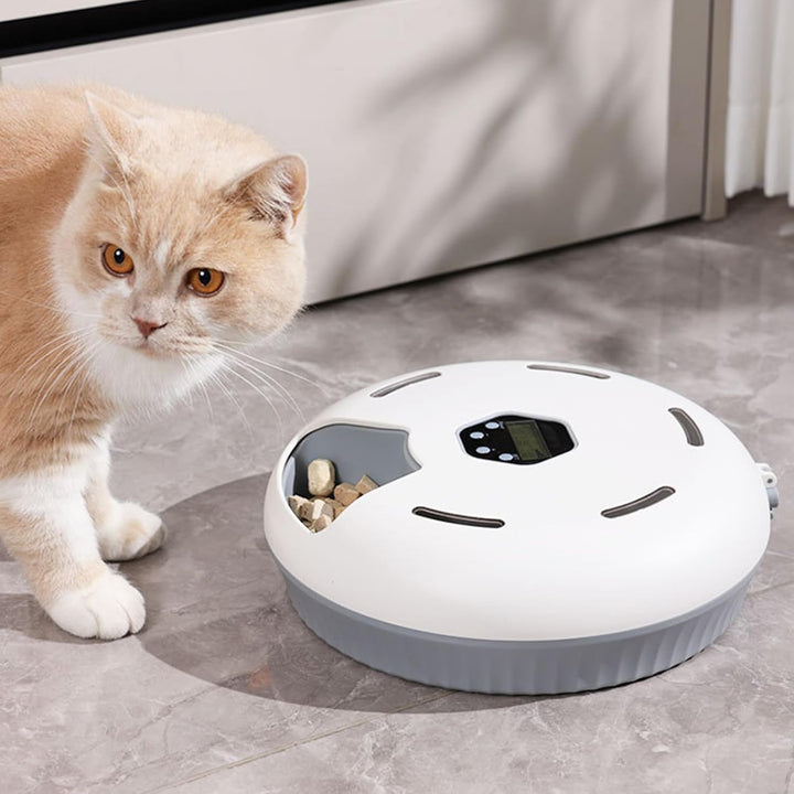 Automatischer Katzenfutterspender – 6 Mahlzeiten pro Tag, Frischehaltung mit EIS-Akkus, Einfache Rei