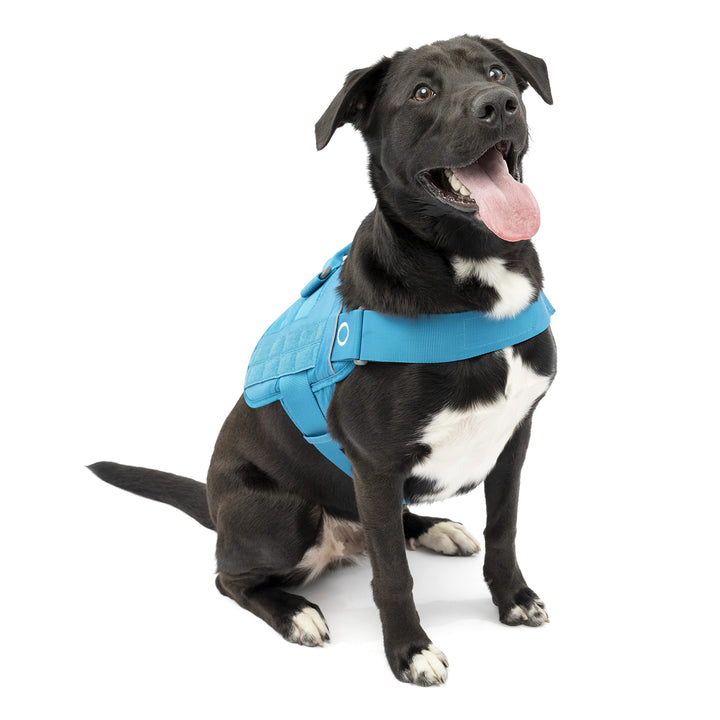 Kurgo RSG Townie Hundegeschirr, Einfaches Anlegen und Abnehmen, Einstellbare Brust- und Bauchgurte,