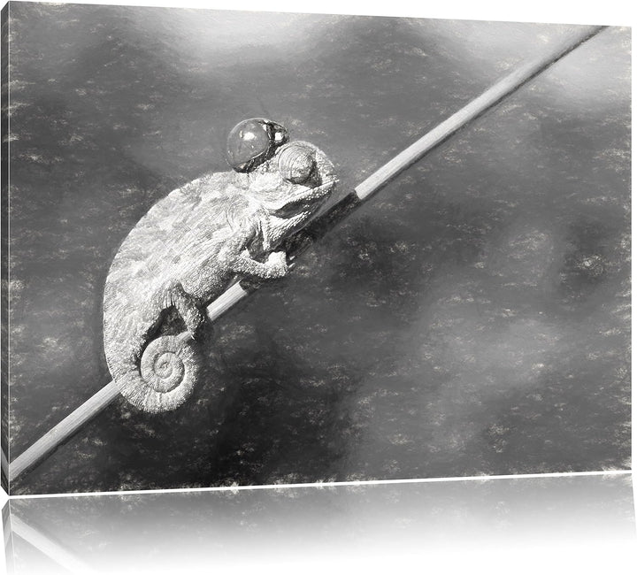 Pixxprint Gecko mit einem Marienkäfer als Leinwandbild/Grösse: 100x70 / Wandbild/Kunstdruck/fertig b