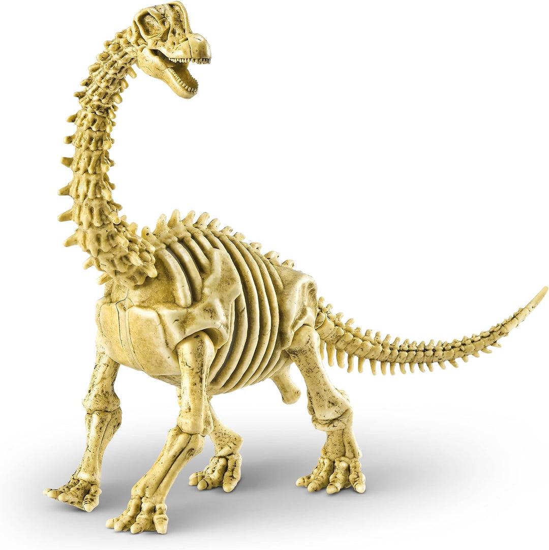 Robo Alive Mega Dino Fossil Find von ZURU, Brontosaurus, Brontosaurus