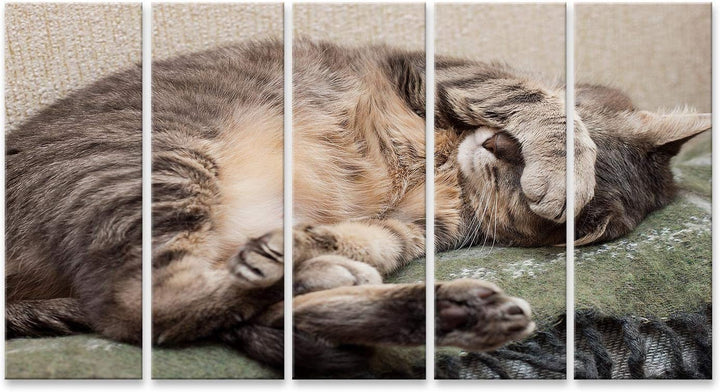 islandburner Bild auf Leinwand Schlafende Katze Bilder Wandbilder Poster 160L x 80B cm, 160L x 80B c