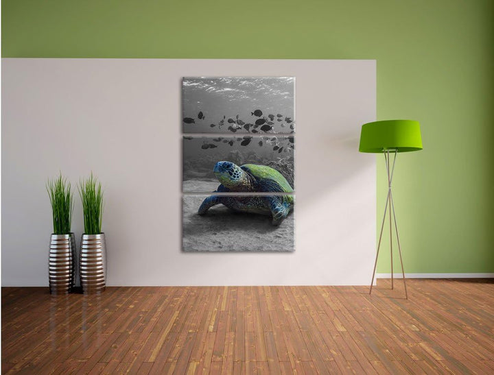 Pixxprint Schildkröte im Ozean schwarz/weiss als Leinwandbild/Grösse: 3 Teilig (120x80 cm) cm/Wandbi