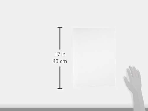 Hahnemühle 10641901 Photo Matt Fibre Papier, 200 g/m², DIN A3, 297 x 420 mm, Warmweiss, 297 x 420 mm