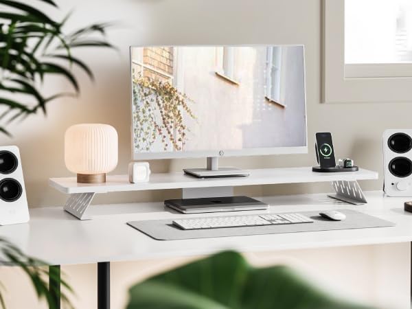 Fenge Dual Monitorständer mit Modernen Metallfüssen Multifunktionaler Bildschirmständer für Computer