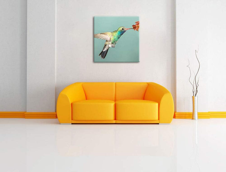 Pixxprint Bunter Kolibri, Format: 70x70 auf Leinwand, XXL riesige Bilder fertig gerahmt mit Keilrahm