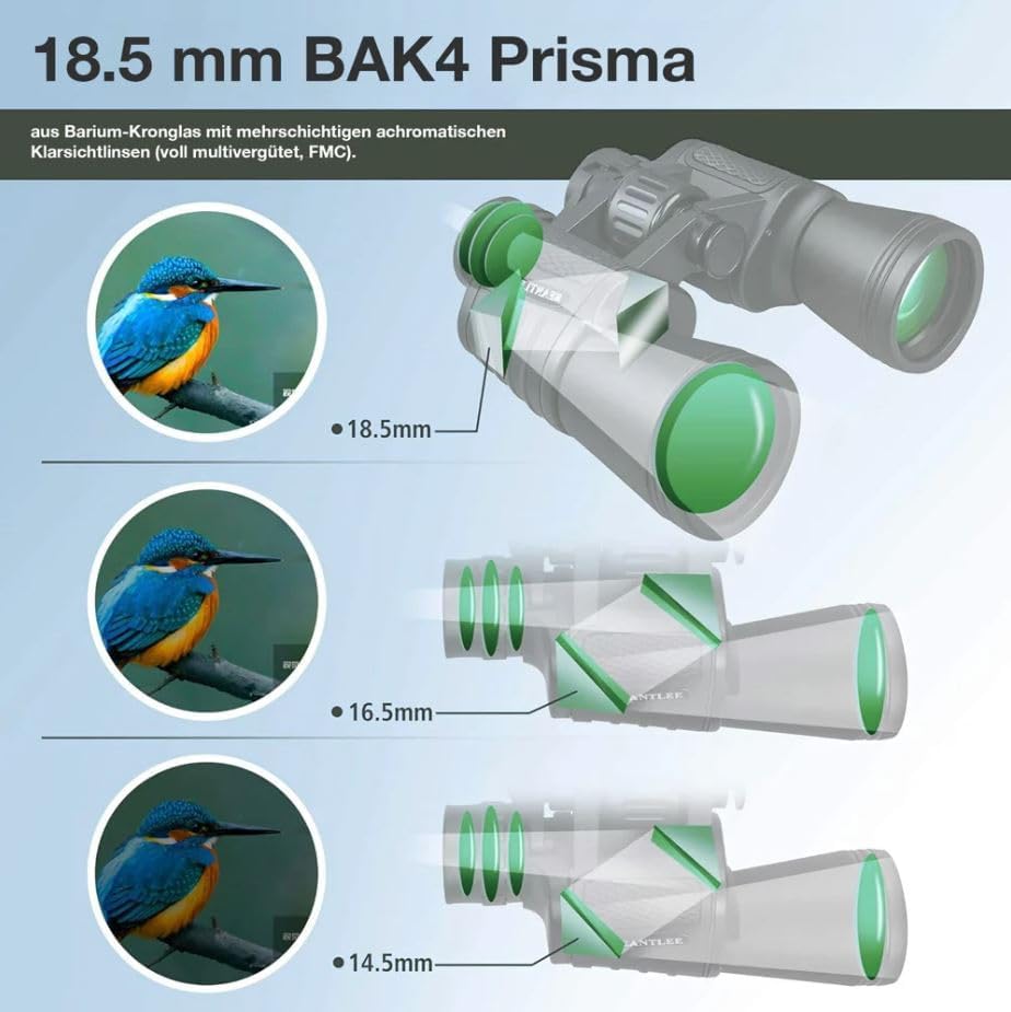 VISIO PRO Fernglas für Erwachsene 10x50 | BAK4 HD Prisma | Ferngläser mit individuell einstellbare D