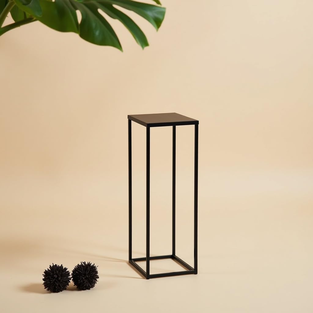 Pflanzenständer Ferro - 24x24x70cm - Farbe Schwarz - für Zimmerblumen - Metallregal - Dekorativer Ti