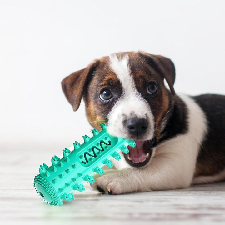 Kauspielzeug für Hunde, unzerstörbar, quietschend, interaktives Hundespielzeug, robust, interaktiv,