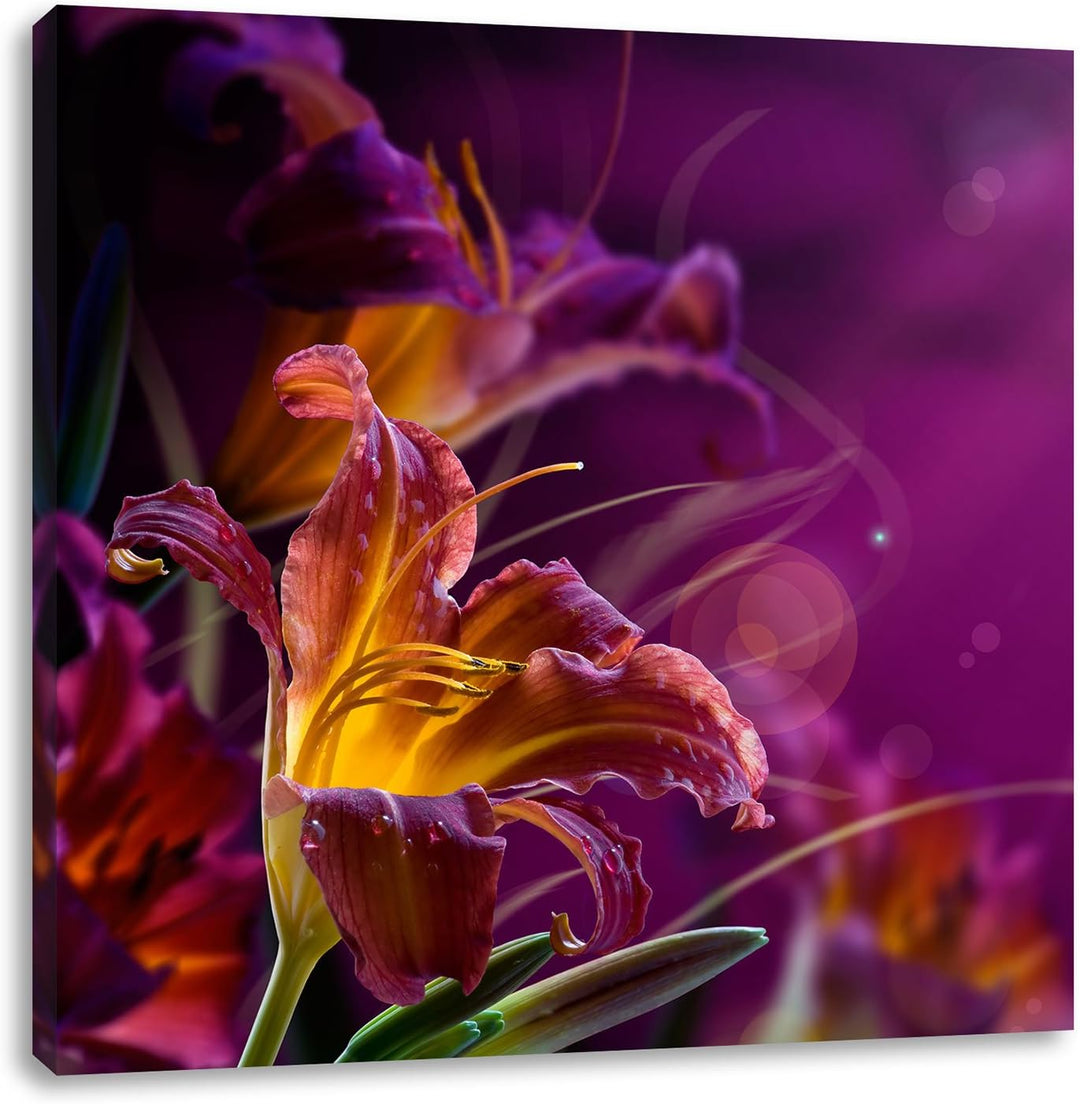 Lilie mit Wassertropfen, Format: 70x70 auf Leinwand, XXL riesige Bilder fertig gerahmt mit Keilrahme