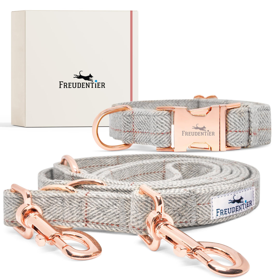 FREUDENTIER® Hundehalsband und Hundeleine im eleganten Set - 2m Leine, 3-Fach verstellbar - Robust &