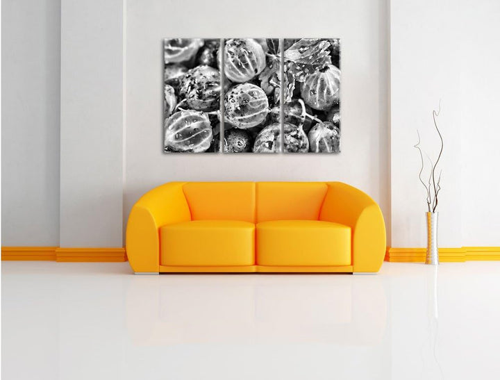 Pixxprint Leckere Stachelbeeren als Leinwandbild/Grösse: 3 Teilig (120x80) cm/Wandbild/Kunstdruck/fe