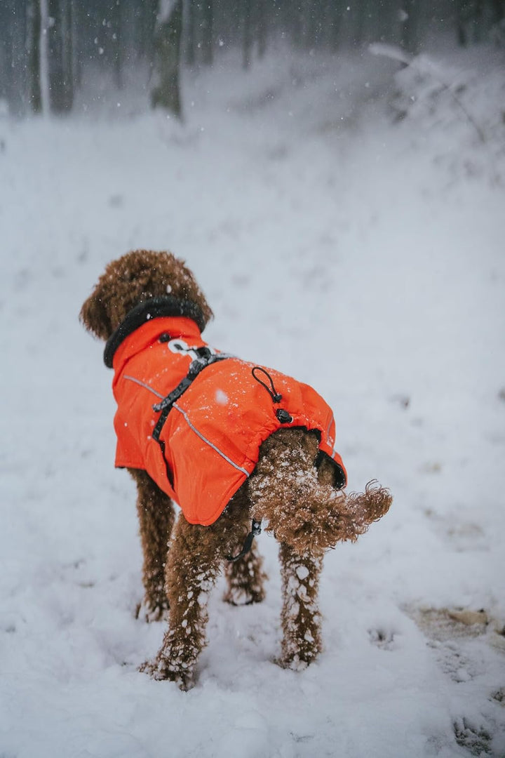HUNTER Hundemantel NORDBY, Farbe: orange, wasserabweisend, warm gefüttert, reflektierend, ideal für