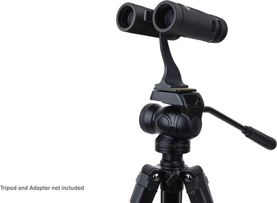 Celestron TrailSeeker ED 10x32 Fernglas - Kompaktes ED Fernglas für Vogelbeobachtung und Outdoor-Akt