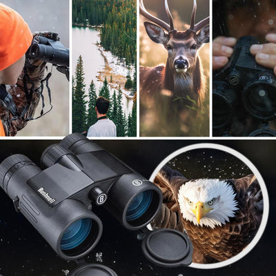 Bushnell Unisex Bpr842 Fernglas, Schwarz, 8x42mm Schwarz 5 Zoll, Schwarz 5 Zoll