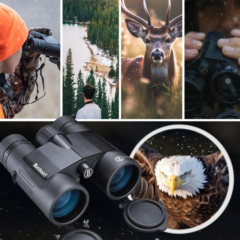 Bushnell Unisex Bpr842 Fernglas, Schwarz, 8x42mm Schwarz 5 Zoll, Schwarz 5 Zoll