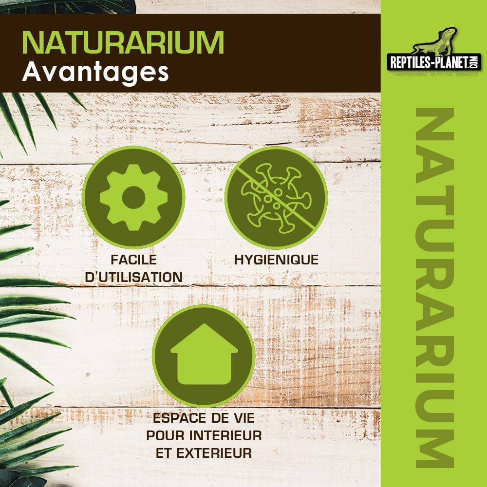 Reptiles Planet Terrarium Naturarium, M, 75 x 45 x 75 cm