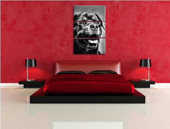Pixxprint Treuer Rottweiler als Leinwandbild | Grösse: 3 Teilig (120x80) | Wandbild| Kunstdruck | fe