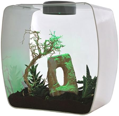 Lucky Reptile Life Box 35 beere, Nanoterrarium aus Acrylglas beere gross, beere gross