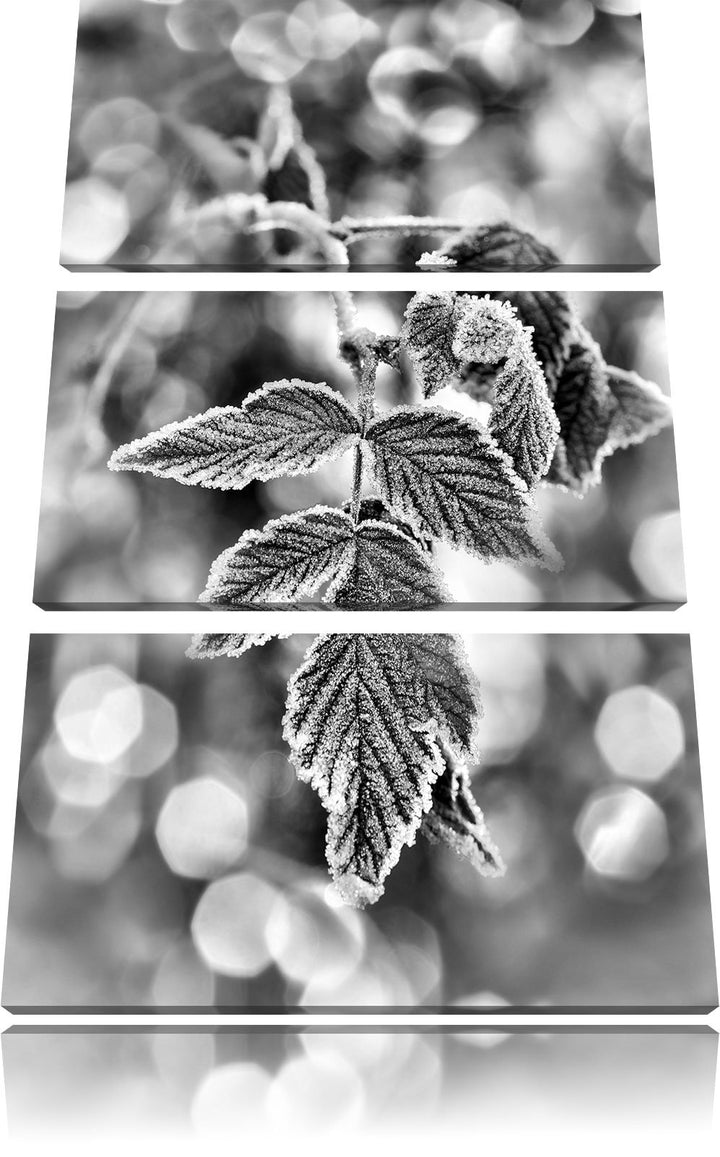 Pixxprint Monocrome, Blätter im Winter Morgenfrost 3-Teiler Leinwandbild 120x80 Bild auf Leinwand