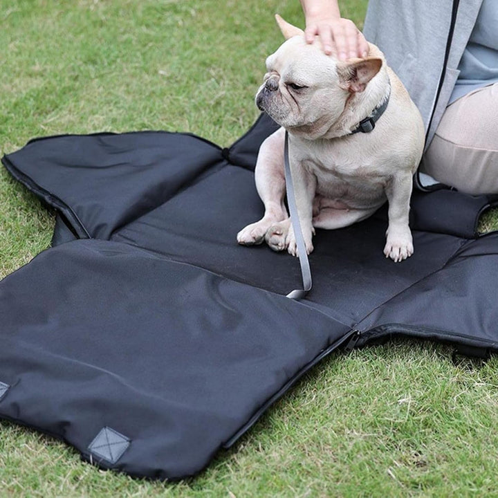 Kleine Hund Auto Da Viaggio Auto Per Cani Per Cani, Gatti, Cuccioli, Piccoli Animali bis 5kg, Gabbia