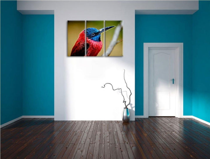 kleiner tropischer Vogel Spezial 3-Teiler Leinwandbild 120x80 Bild auf Leinwand, XXL riesige Bilder