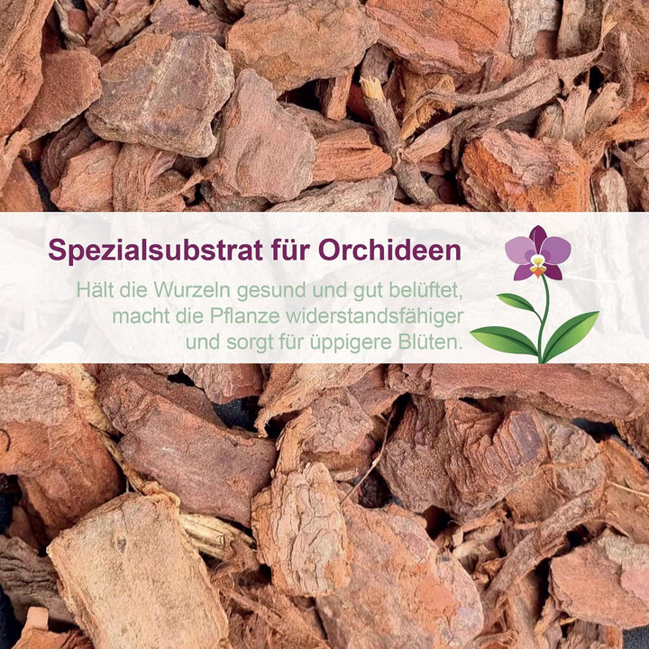 Kalapanta Orchideen-Umtopf 3er-Set: 3 Durchsichtiger Blumentopf mit Drainagelöchern, 3 Untertasse un