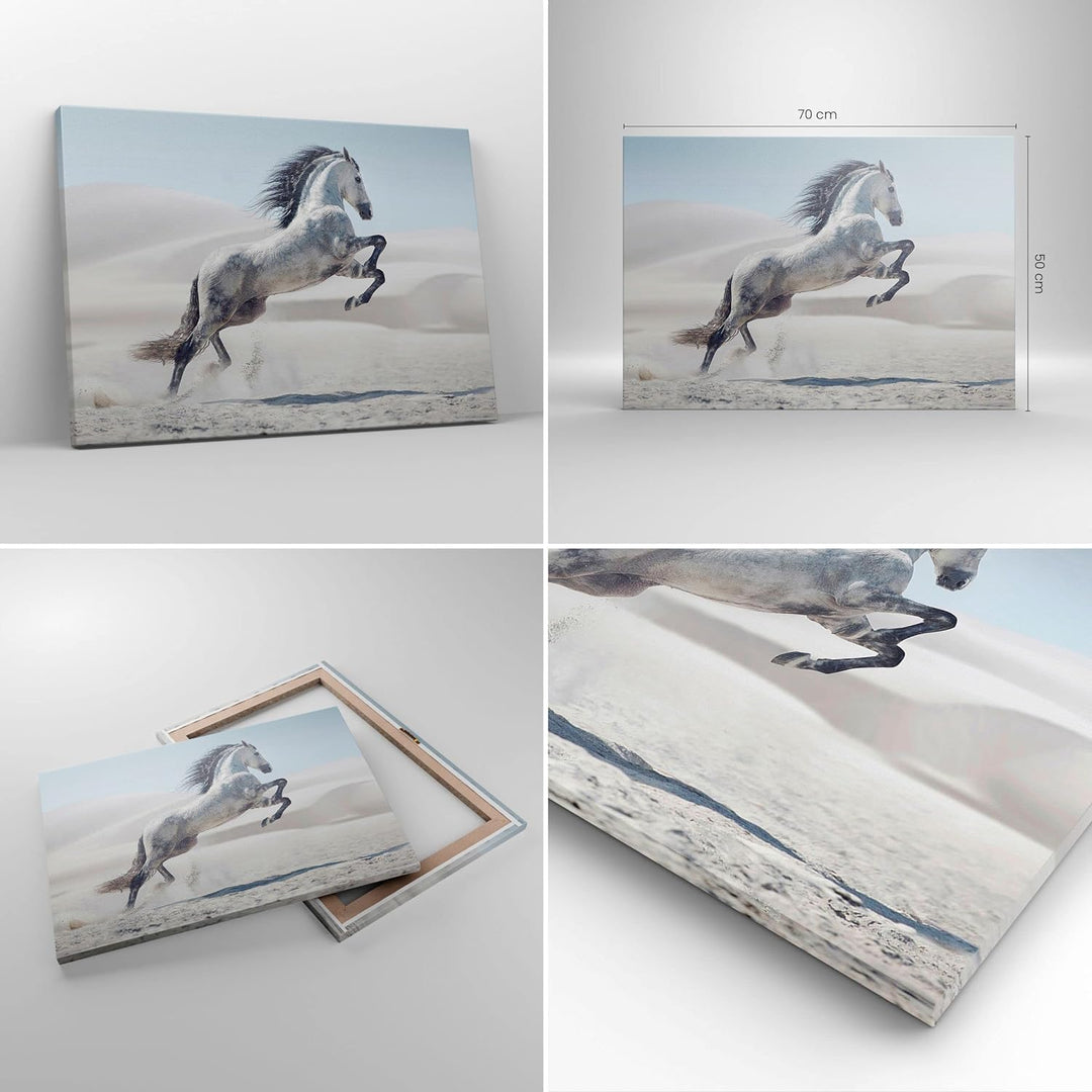 Bilder auf Leinwand Pferd Tier Natur Leinwandbild mit Rahmen 70x50cm Wandbilder Dekoration Wohnzimme