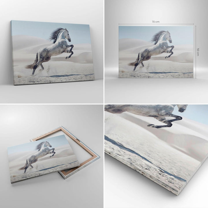 Bilder auf Leinwand Pferd Tier Natur Leinwandbild mit Rahmen 70x50cm Wandbilder Dekoration Wohnzimme