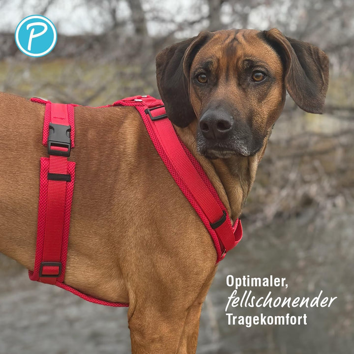 Petlando Hundegeschirr mittelgrosse Hunde, Y-Comfort mit atmungsaktivem Mesh, leicht & robust, Rot M