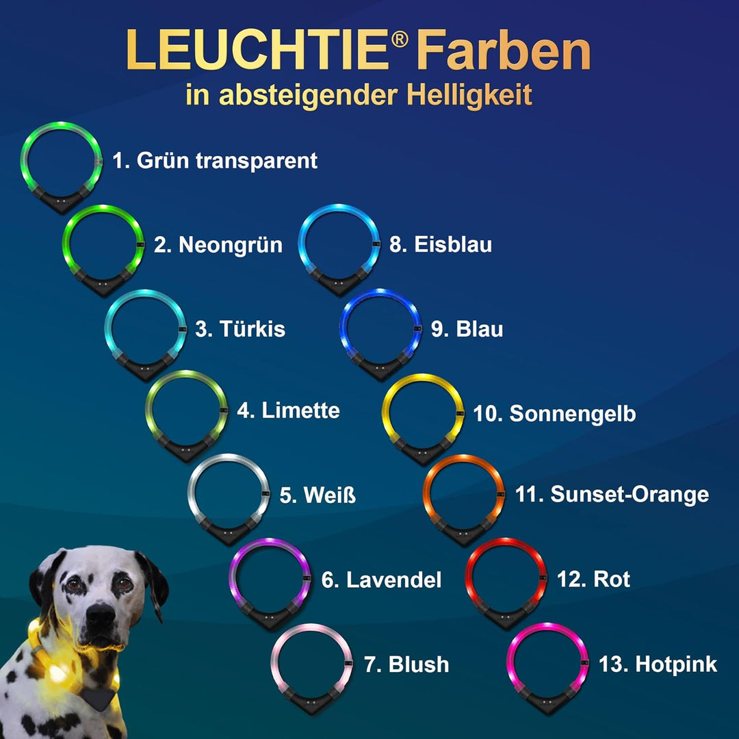 LEUCHTIE® Leuchthalsband Easy Charge türkis Grösse 45 I USB aufladbar I LED Halsband für Hunde I kon