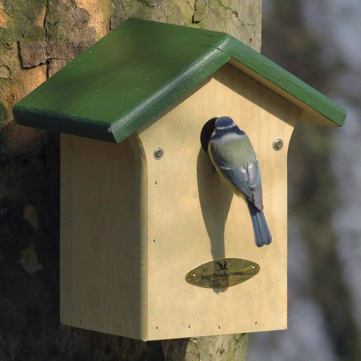 CJ Wildlife Nistkasten für die Blaumeise (28mm)