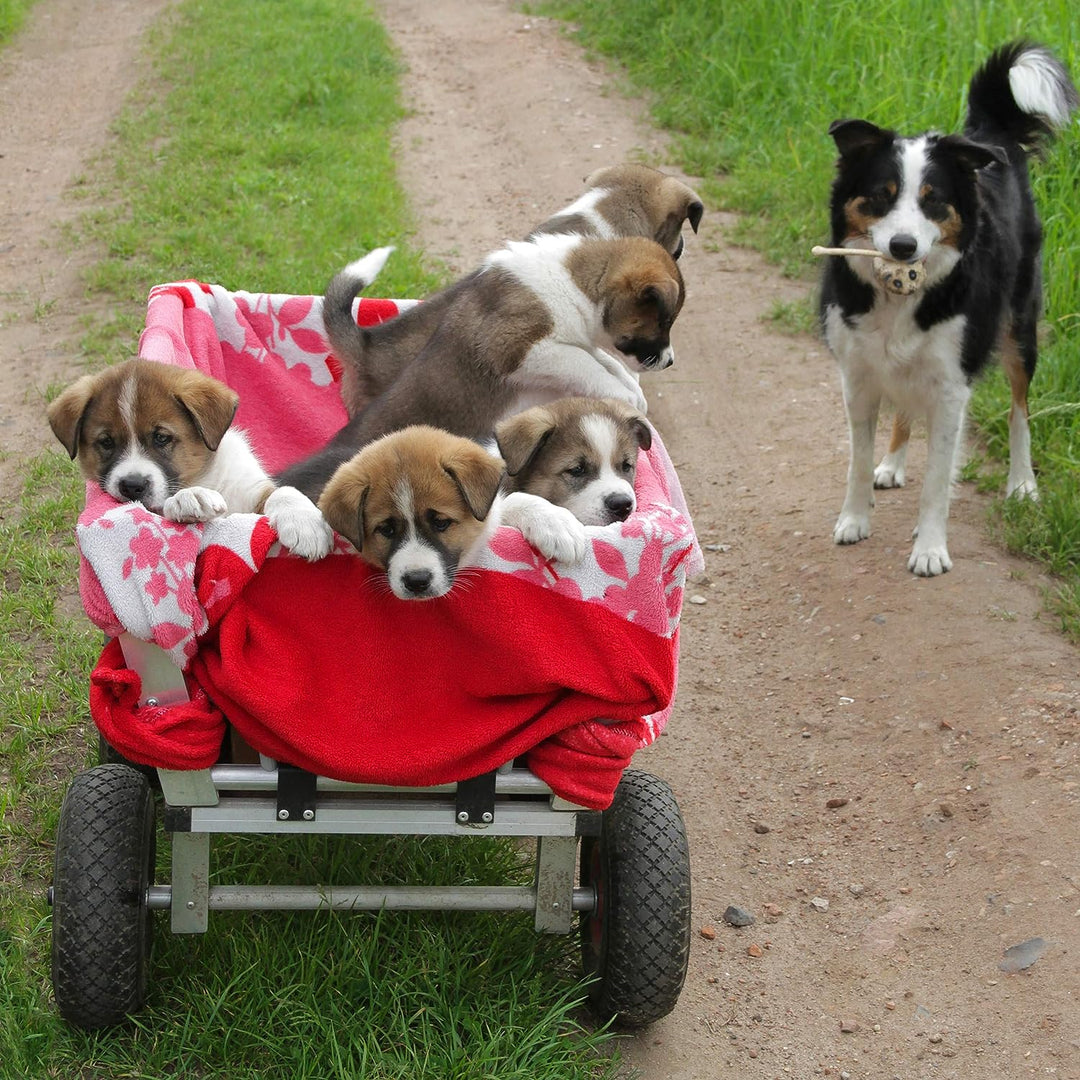 Relaxdays 4 x Sackkarrenrad 3.00-4 im Set, Ersatzreifen, luftbereift, bis 80 kg, Kunststofffelge, 26