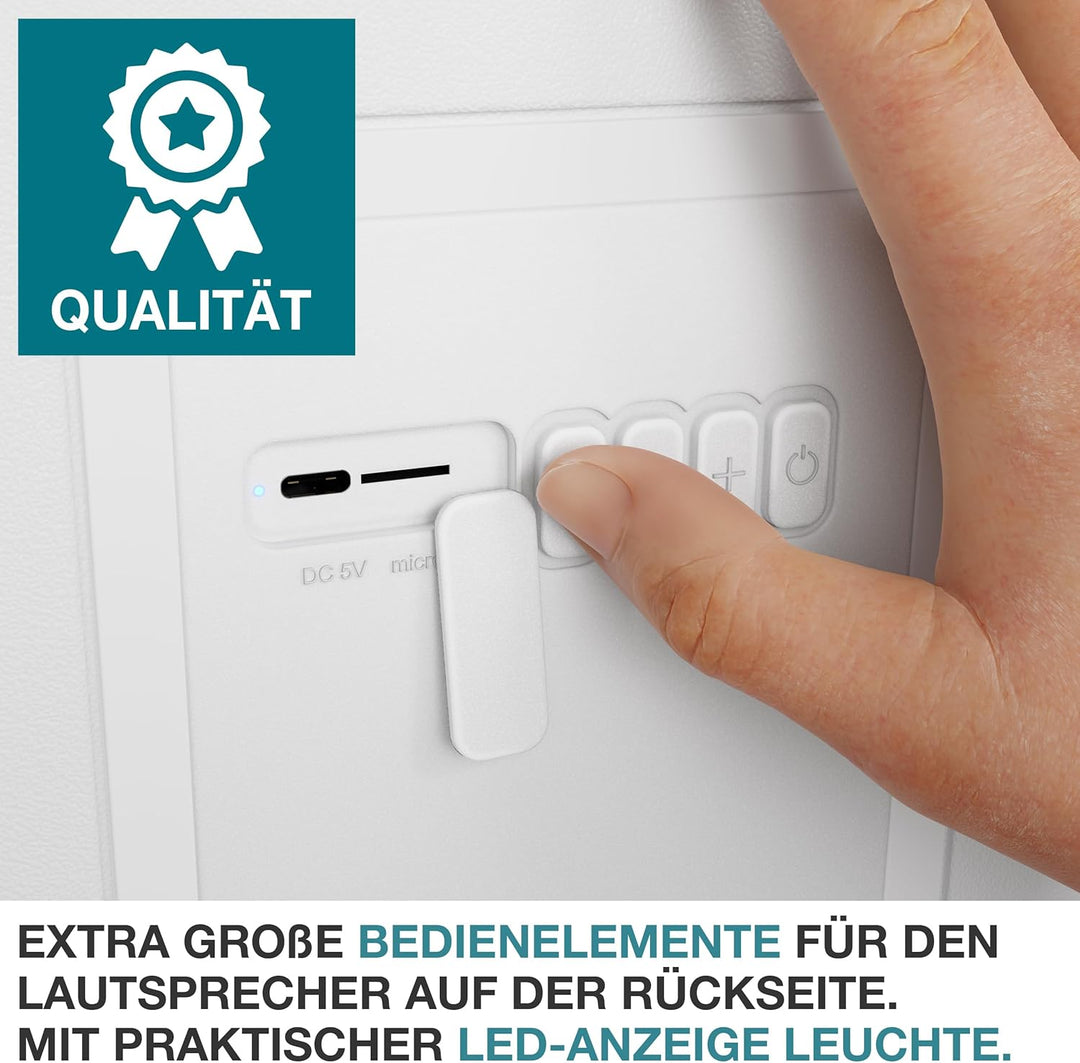 TOM 3in1 Musik Kühlbox 21l zum Kühlen, Warmhalten und Musik hören – mit Bluetooth Lautsprecher – Küh