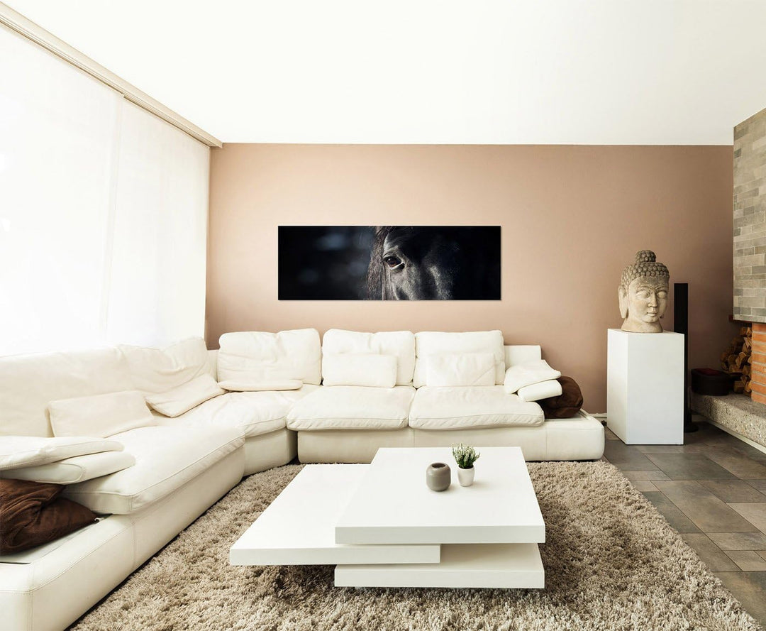 Paul Sinus Art Panoramabild auf Leinwand und Keilrahmen 150x50cm Pferd Kopf Auge Dunkelheit