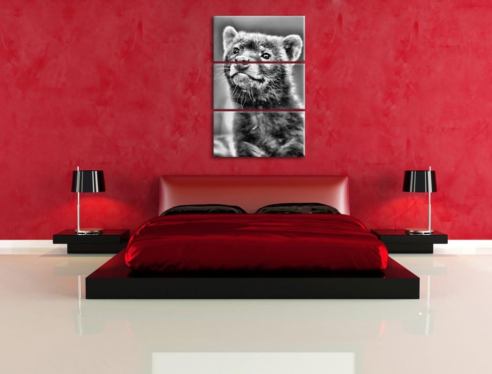 Pixxprint freches Frettchen als Leinwandbild | Grösse: 3 Teilig (120x80) | Wandbild| Kunstdruck | fe