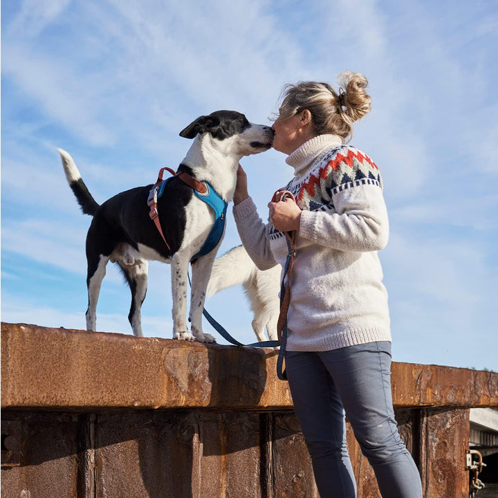 Hurtta Weekend Warrior ECO Warming Hundegeschirr, wärmend, Brustgeschirr für grosse Hunde, Blaubeere