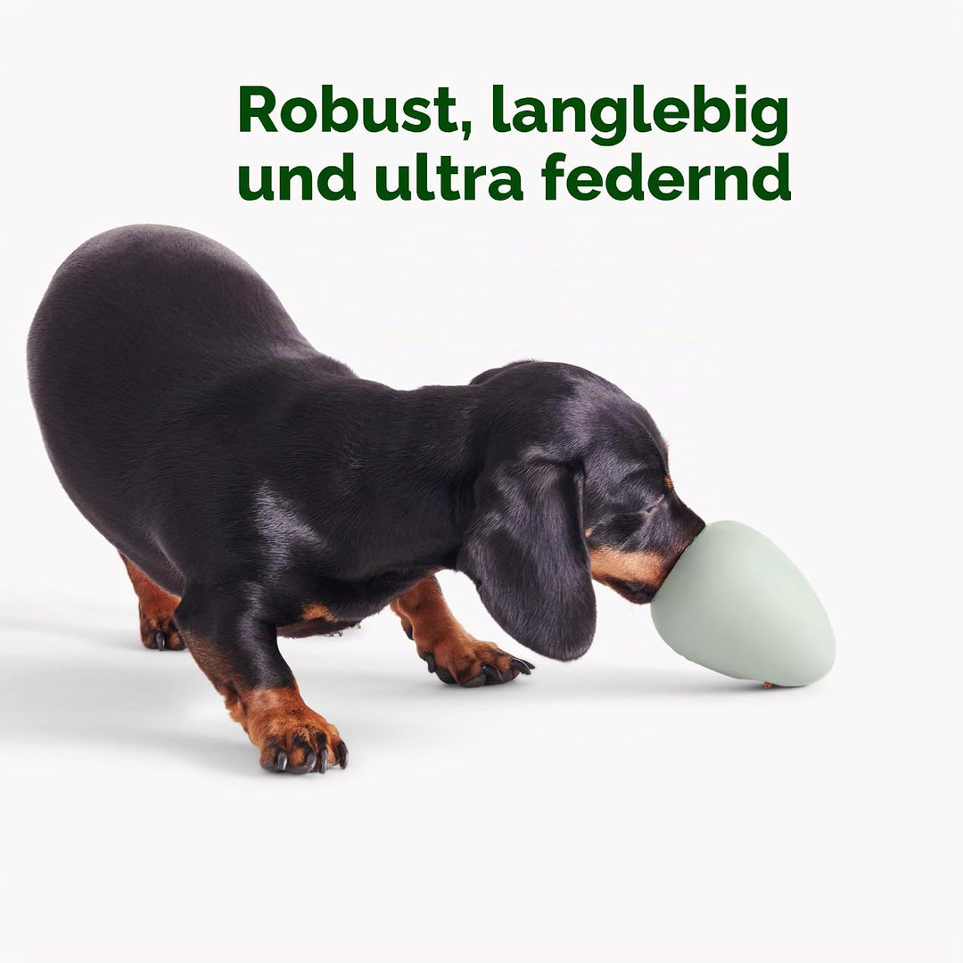 Beco Hundespielzeug - Langeweile Buster Anreicherung Spielzeug für Hunde, interaktiver Leckerliball,
