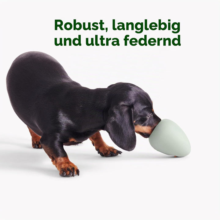 Beco Hundespielzeug - Langeweile Buster Anreicherung Spielzeug für Hunde, interaktiver Leckerliball,