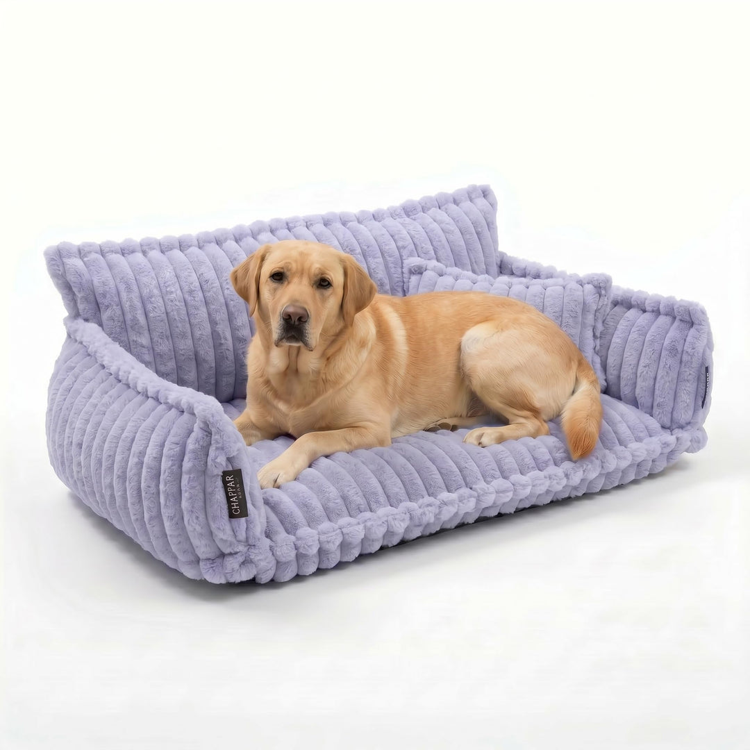 Haustiersofa Chaffar Hundebett | Katzensofa Hundesofa | Orthopädische Matratze | Moderner Stil | Cor