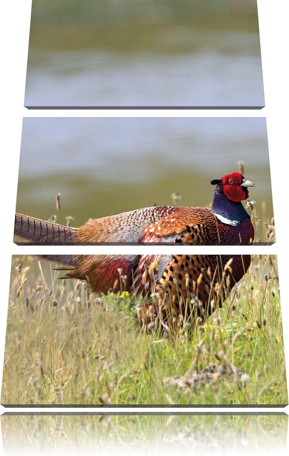 Pixxprint Fussabdrücke mit Steinen gelegt als Leinwandbild/Grösse: 3 Teilig (120x80) / Wandbild/Kuns