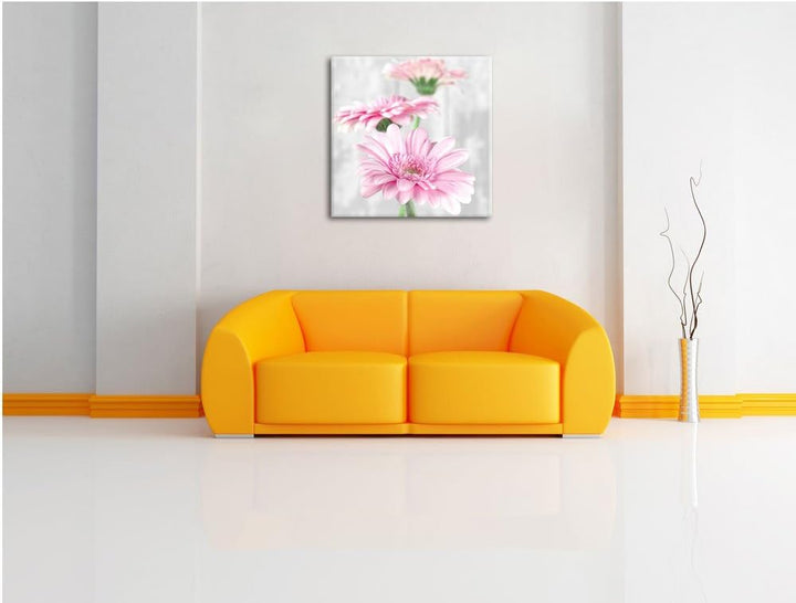 Pixxprint schöne Gerberas bei Tageslicht schwarz/weiss, Format: 70x70 als Leinwandbild, 70x70