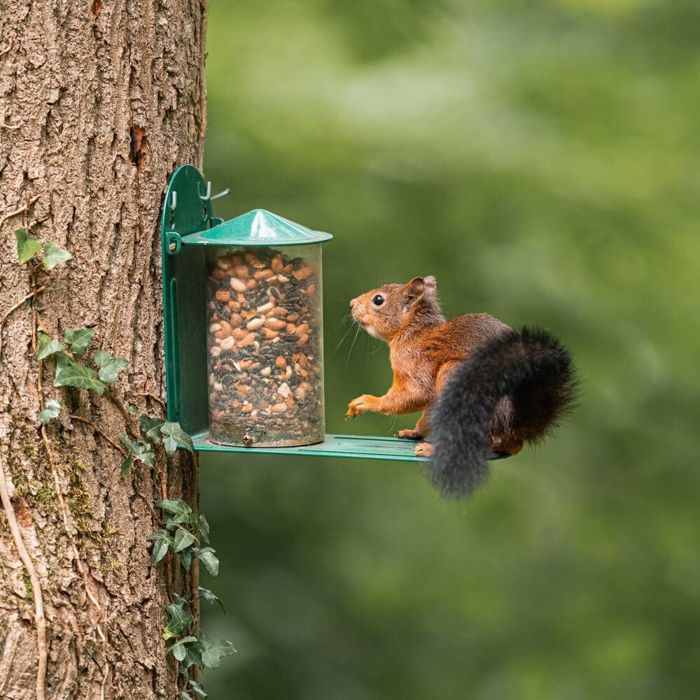 C J Wildbird Foods, CJ-Eichhörnchen-Futterhaus, Grün, Metall