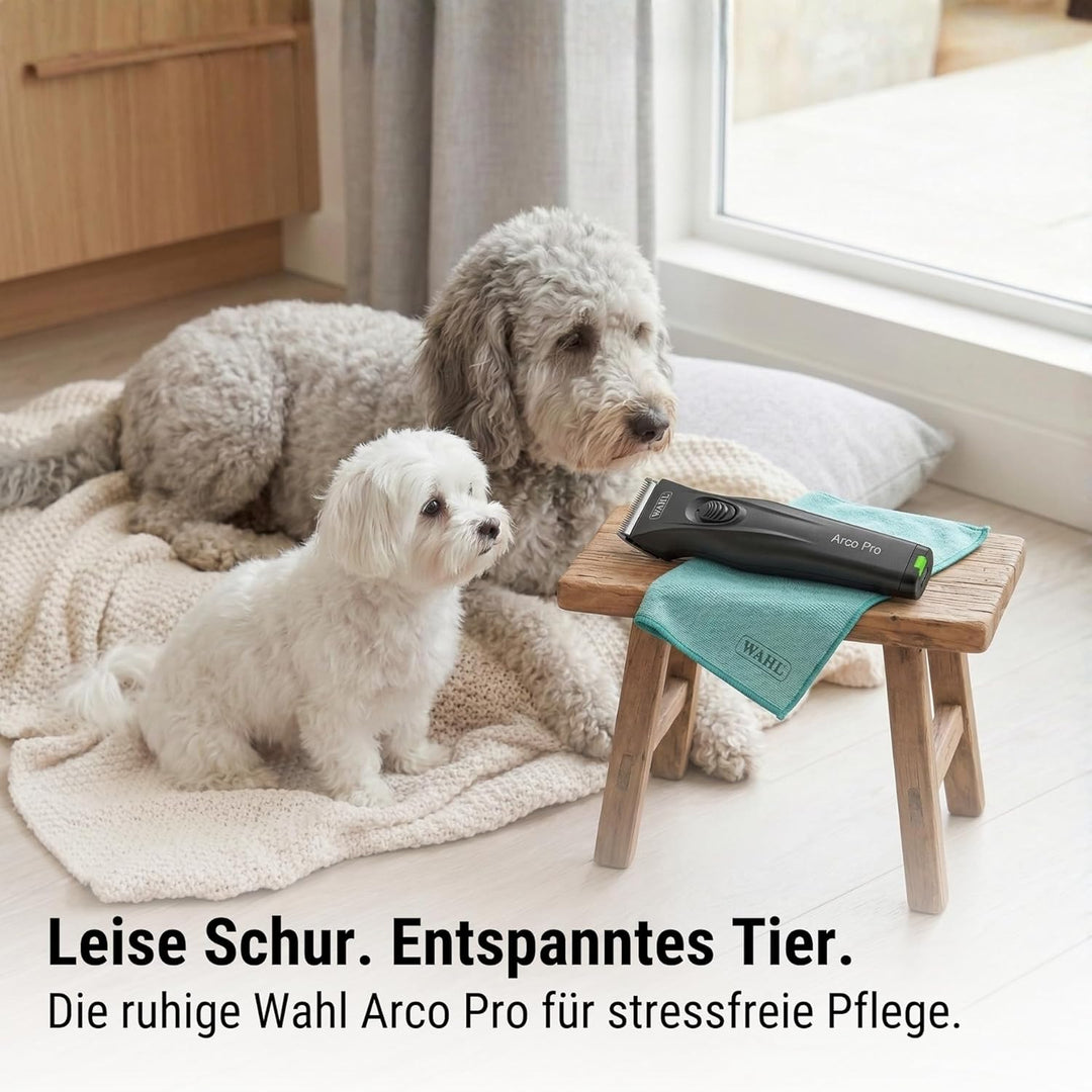 Agrarzone Edition Moser Arco Pro Hundeschermaschine 1 Akku - mit Aufsteckkamm Set - Schermaschine Hu