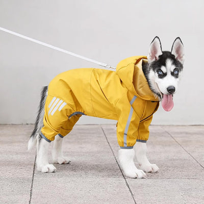 PiPiCat Wasserdichter Hunderegenmantel, für mittel- und kleine Hunde mit Kapuze, ganzkörperabdeckend