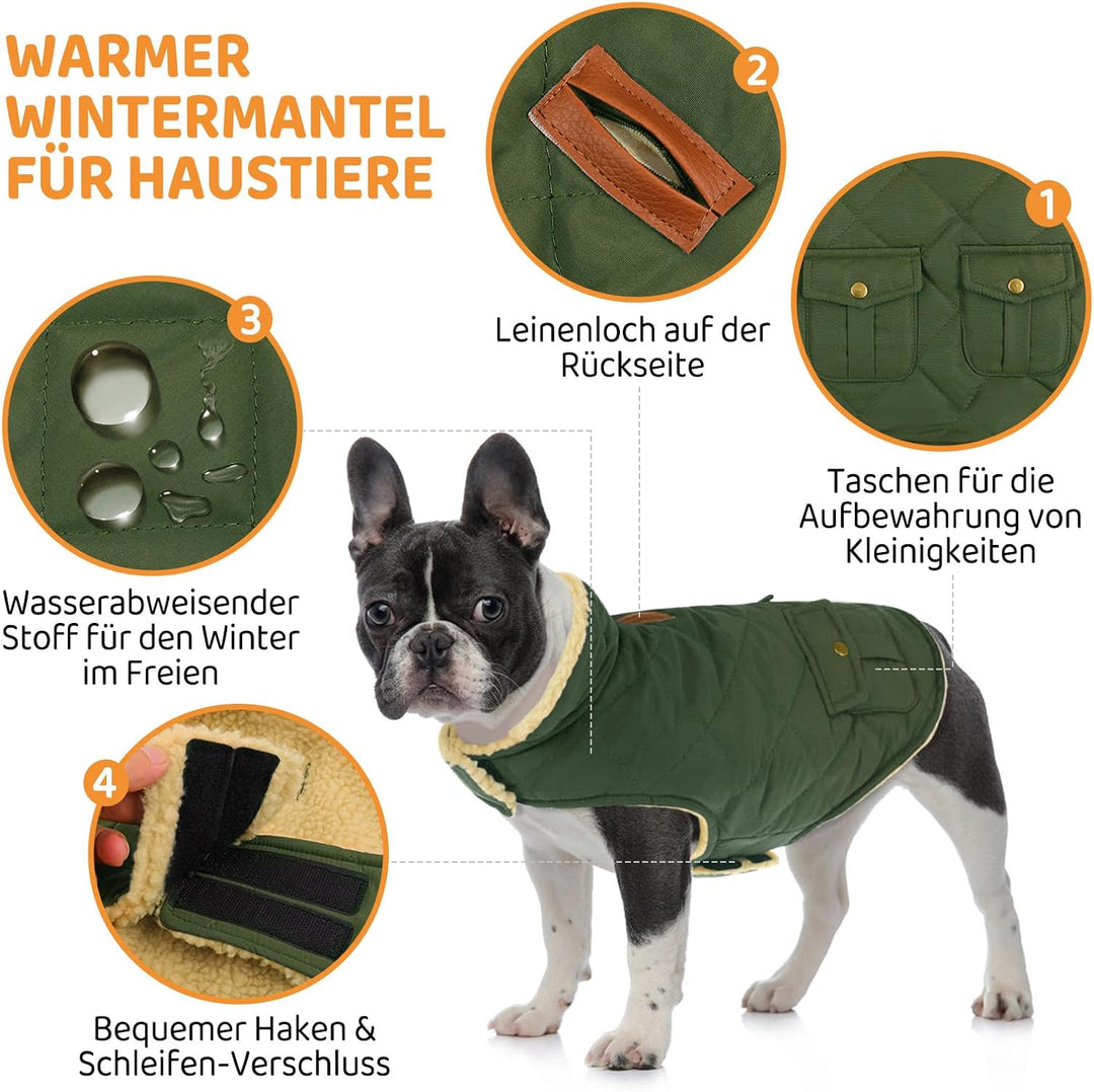 Queenmore Hundemantel Winter Kleine Hunde Warme Wintermantel Hund Fleece Hundejacke Wasserdicht Quil