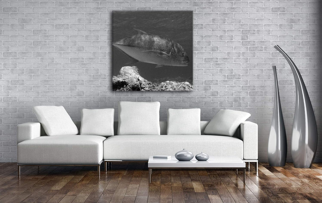 deyoli Blauer Fisch im klaren Wasser Format: 70x70 Effekt: Schwarz&Weiss als Leinwandbild, Motiv auf
