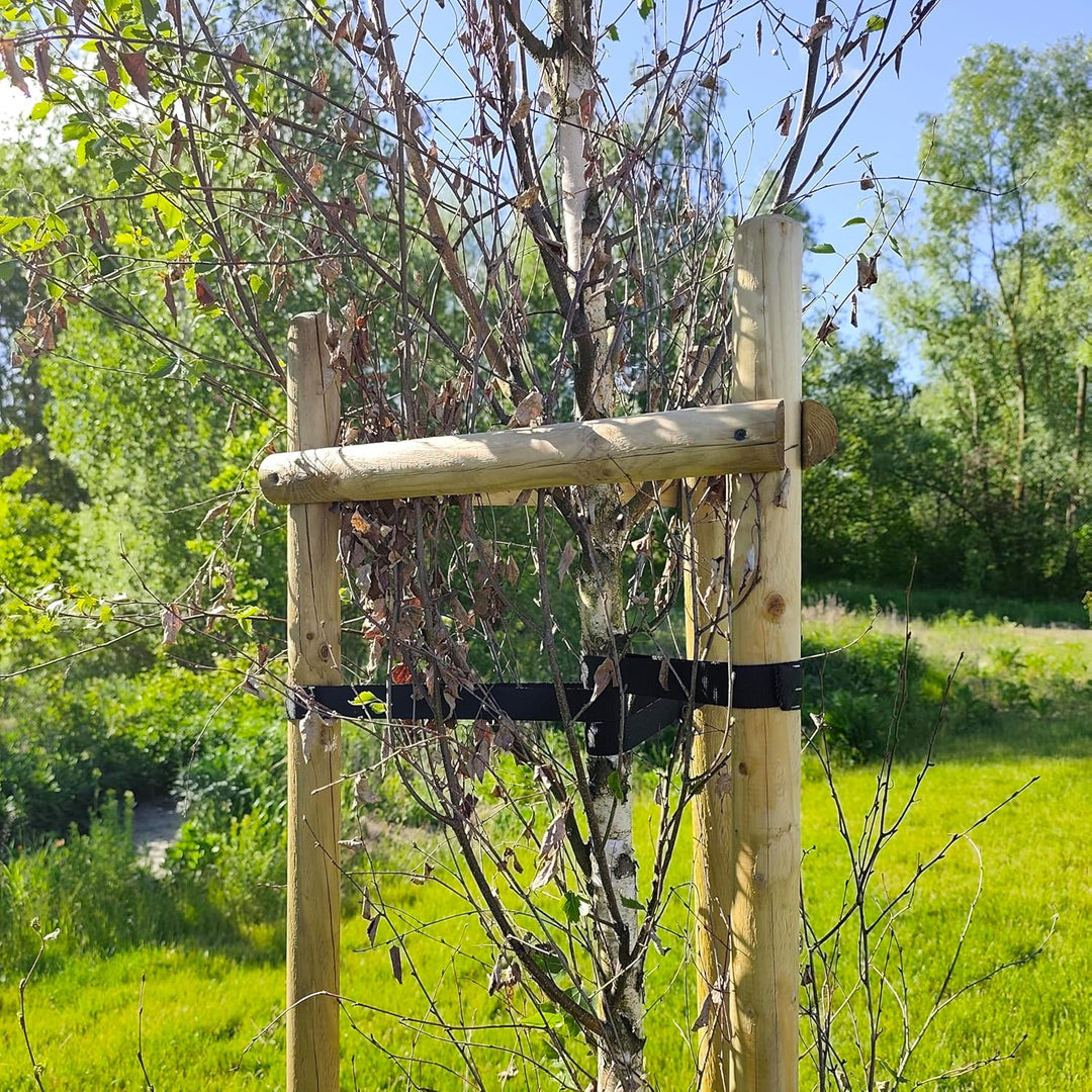 Baumstütze Komplettset Rankhilfe Baumpfahl ø 6cm Länge: 200 cm Pflanzenhalter 3 x Holzpfosten 3X Sch