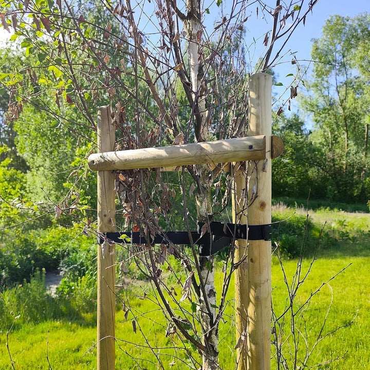 Baumstütze Komplettset Rankhilfe Baumpfahl ø 6cm Länge: 200 cm Pflanzenhalter 3 x Holzpfosten 3X Sch
